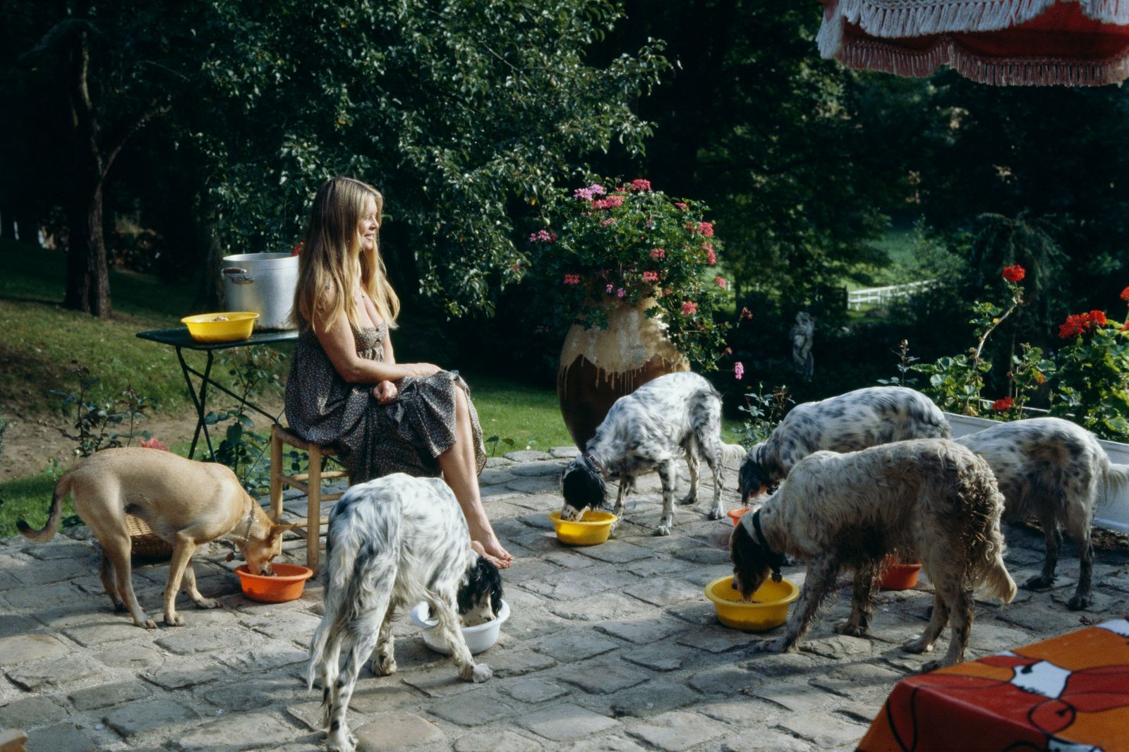 BrigitteBardot6