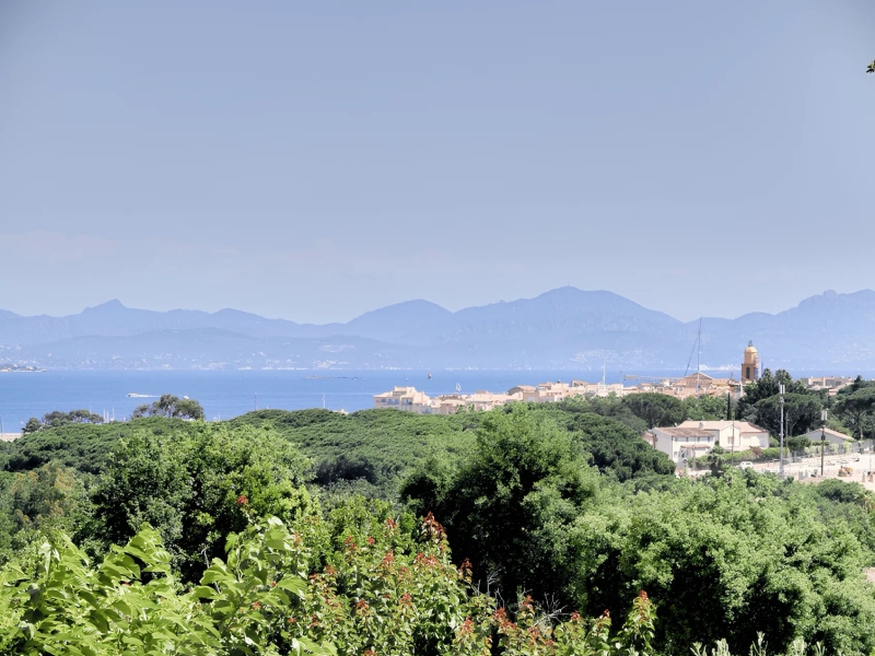 Gassin - Villa MAS DES OLIVIERS